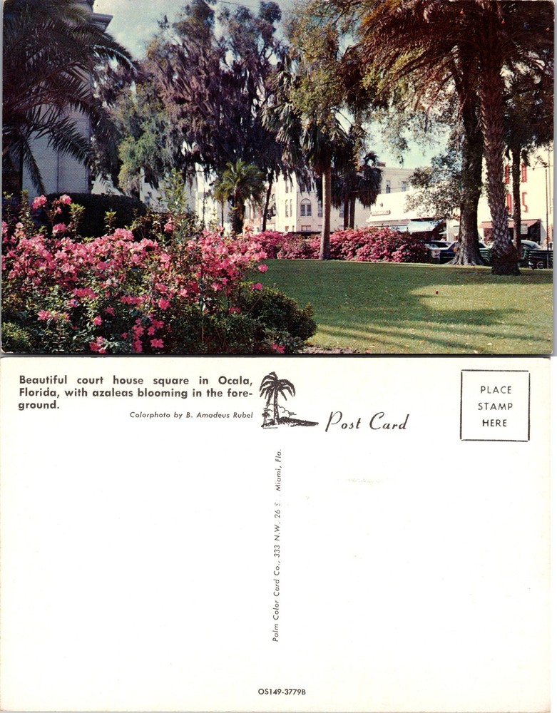 Courthouse Square and Azaleas Ocala Florida FL Postcard