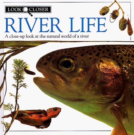 River Life (Look Closer) by Taylor, Barbara, Acceptable Book