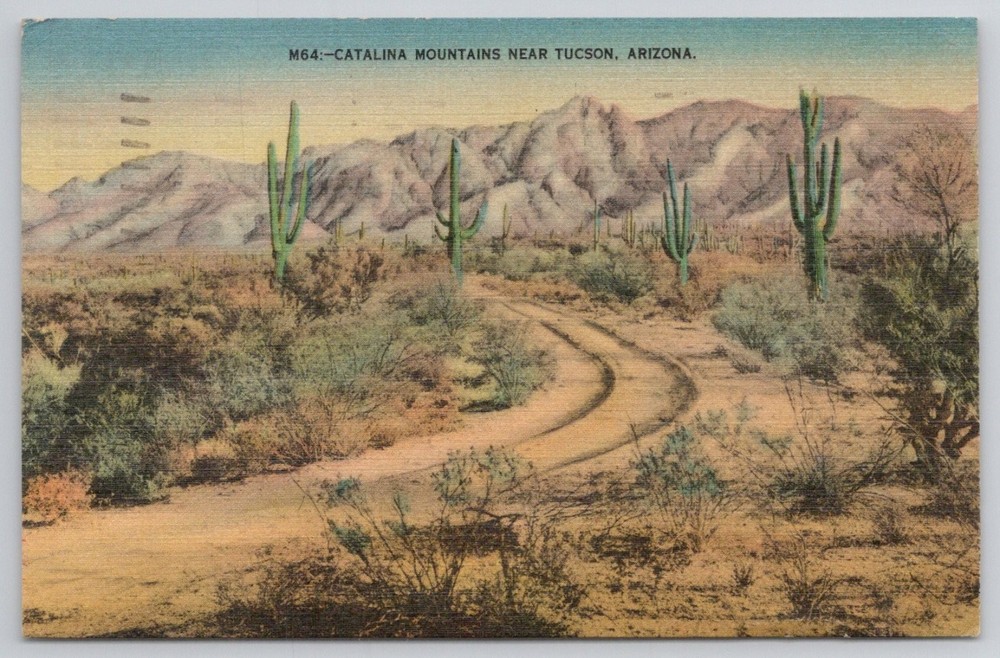 1940 Catalina Mountains Tucson Arizona Linen Postcard Saguaro Desert View