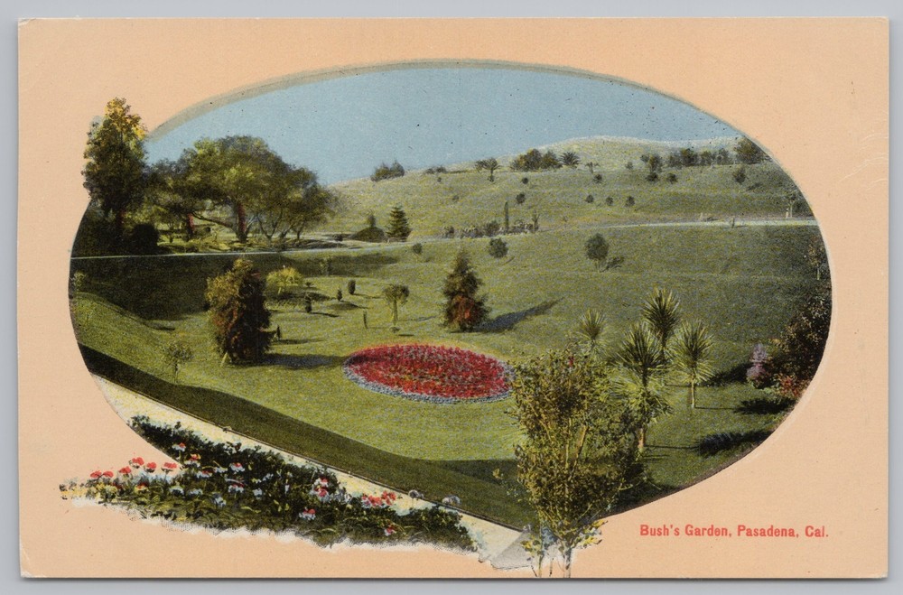 State View~Bushs Garden~Various Trees & Flowers~Pasadena CA~Vintage Postcard