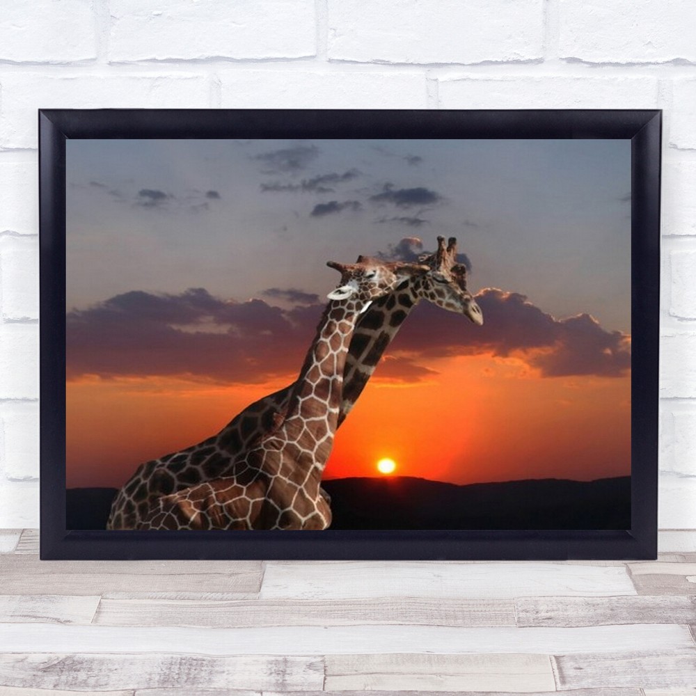 Love You Animals Animal Captive Giraffe Wall Art Print