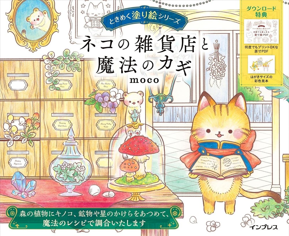 Cat's General Store And The Magic Key TOKIMEKU Coloring Book moco