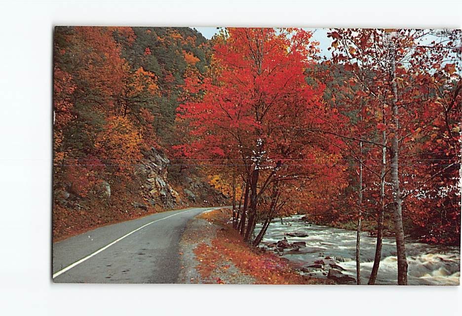Postcard Autumn Scene Little River Great Smoky Mountains National Park USA