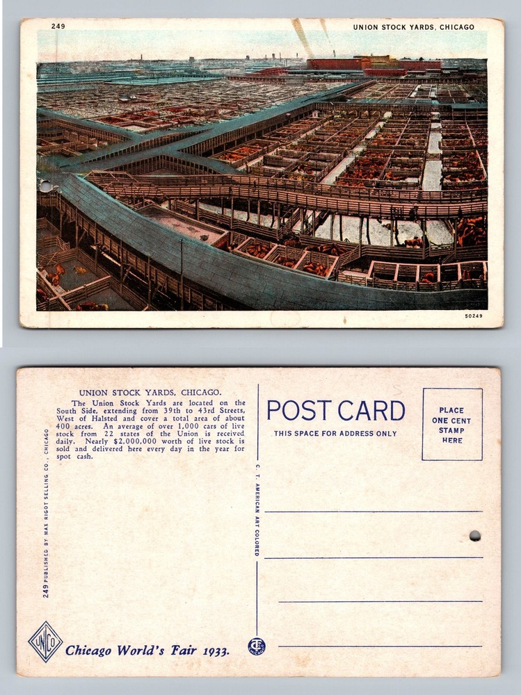 Chicago, IL-Illinois, Union Stock Yards Livestock View Vintage Postcard