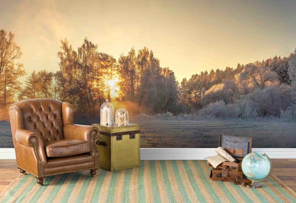 3D Forest Sunshine Winter Landscape Wall Murals Wallpaper Murals Wall Sticker