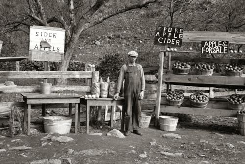 Shenandoah National Park,Virginia,VA,Resettlement Administration,FSA,1935,7