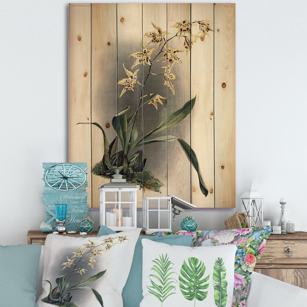 Designart 'Vintage Orchid Flower' Traditional Print on