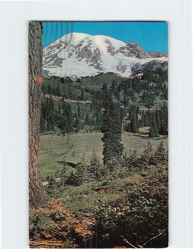 Postcard Mount Rainier Washington USA