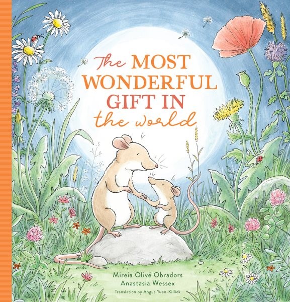 Most Wonderful Gift in the World, School And Library by Obradors, Mireia Oliv...
