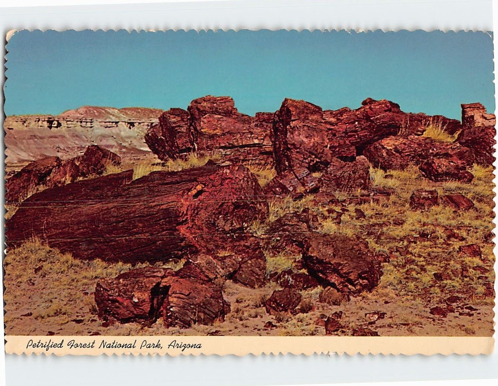 Postcard Fallen Giants Petrified Forest National Park Arizona USA
