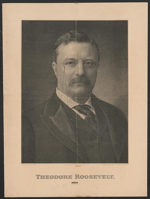 Photo:Theodore Roosevelt New York 1904 Portrait Print