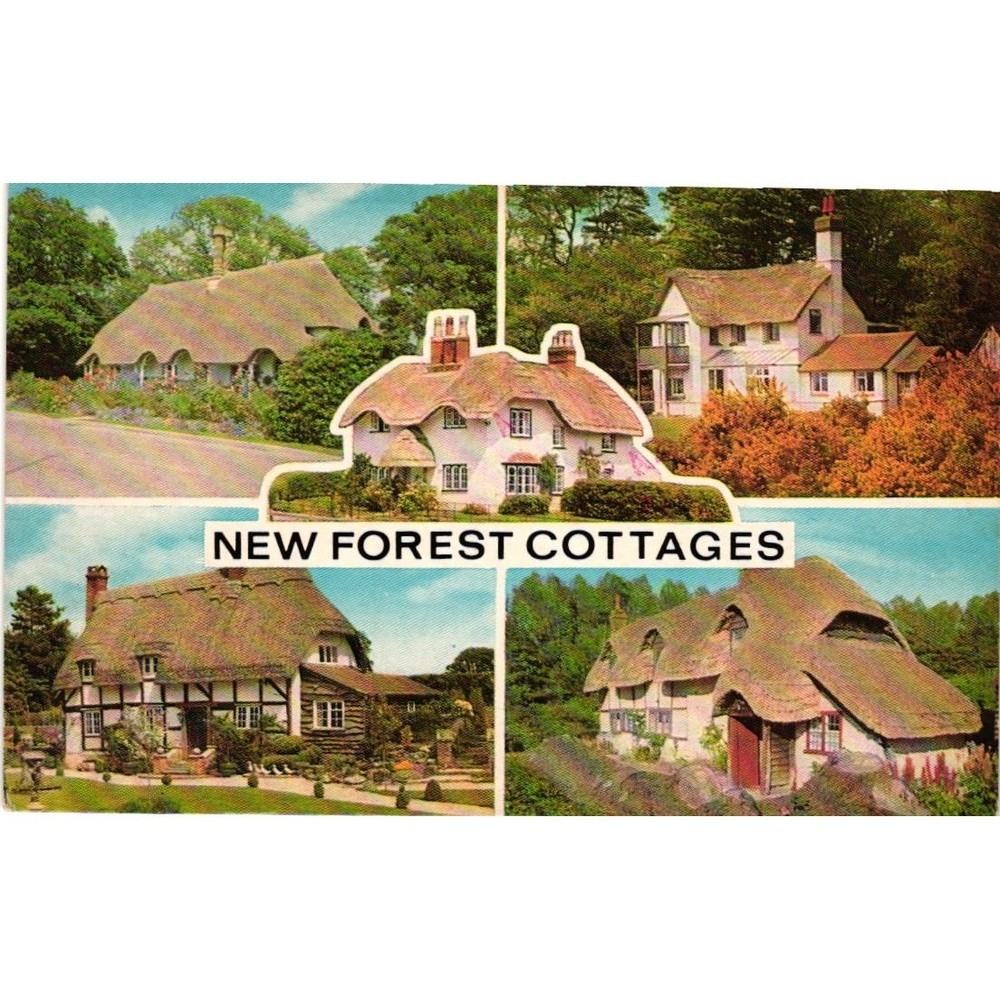 Vintage New Forest Cottages Postcard 1984 MultiView Thatched Roof England Salmon