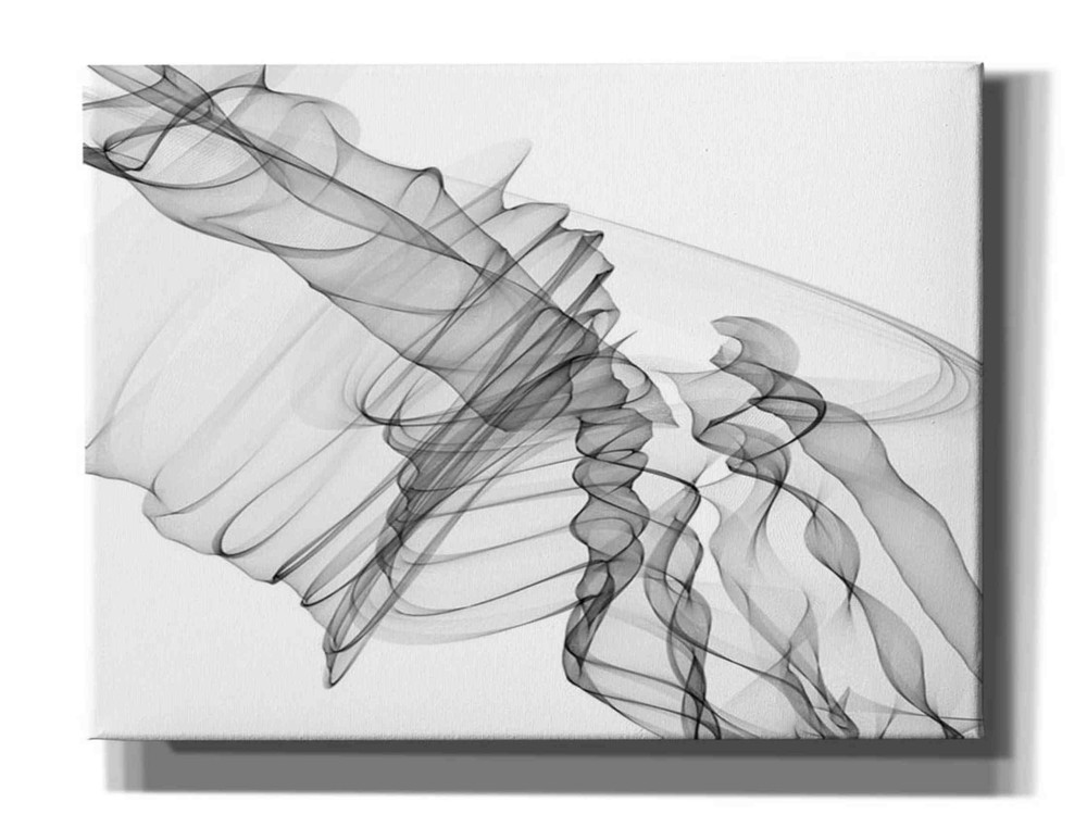 Epic Graffiti 'Abstract Black and White 19-22-36' by Irena Orlov, Giclee Canvas-image