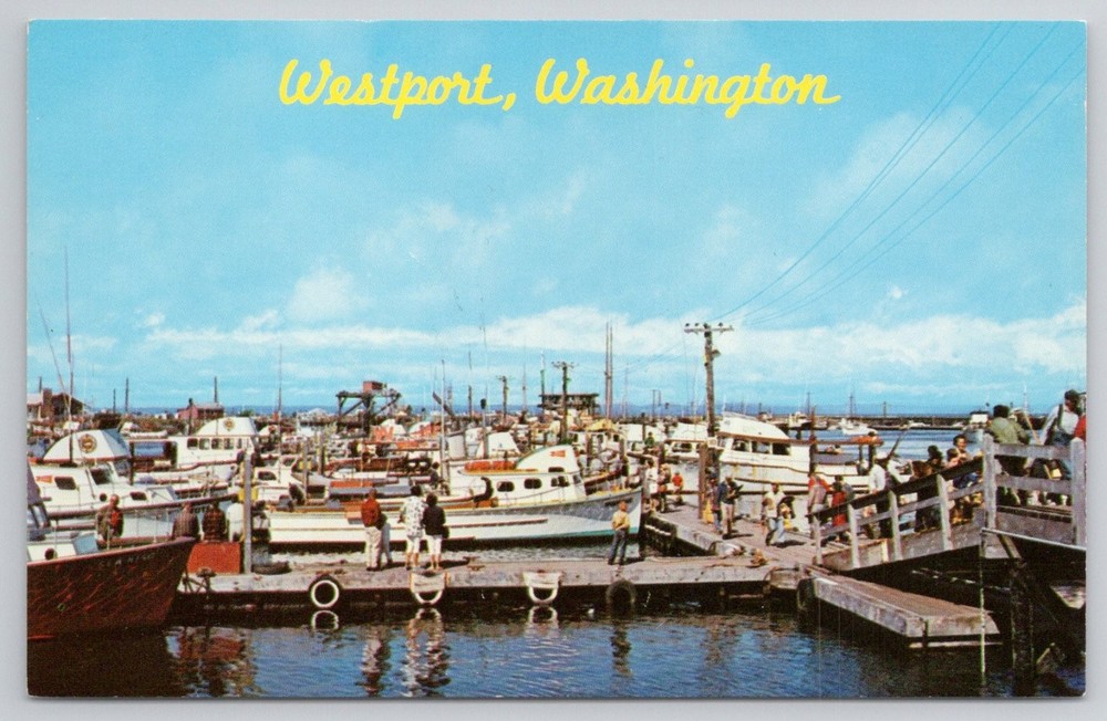 Westport Washington Fishing Fleet Marina Boats Docks Chrome Postcard Vtg
