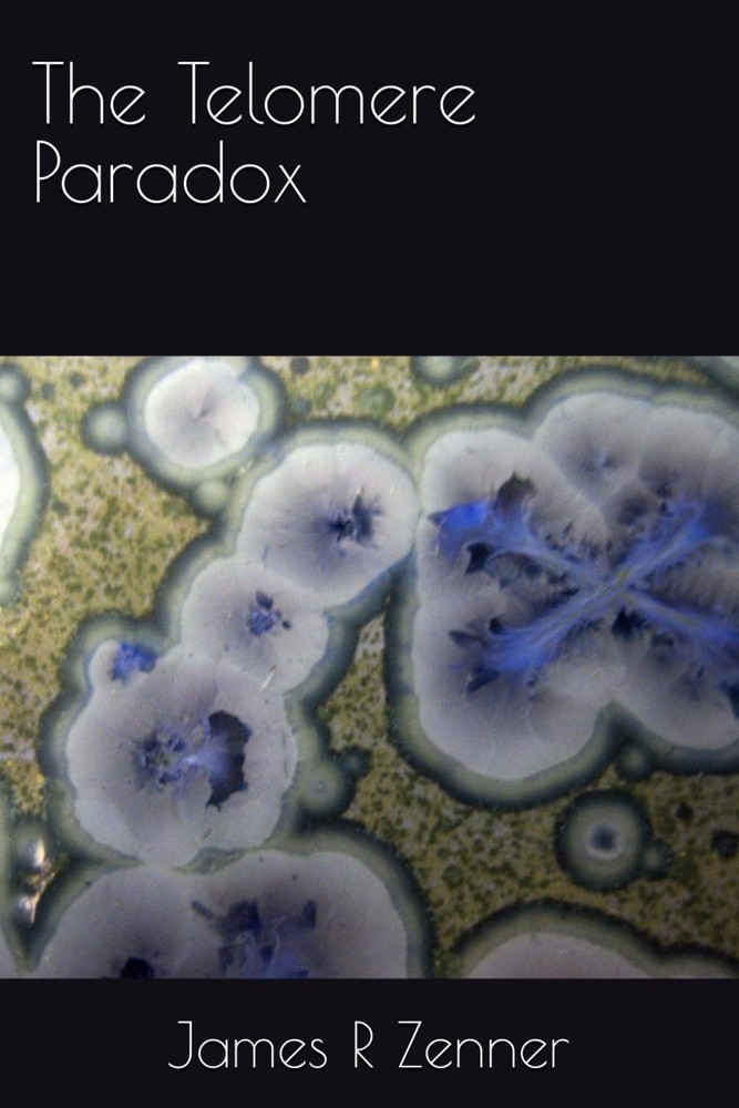 The Telomere Paradox (The Alt-Telomere Timeline)