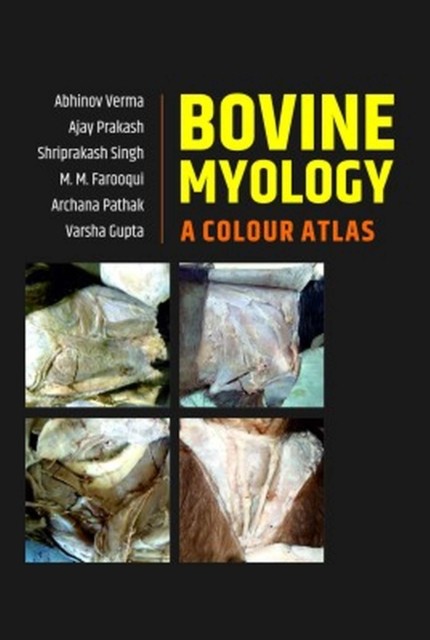 Bovine Myology – A Colour Atlas Verma Prakash Singh Farooqui Pathak Hardback