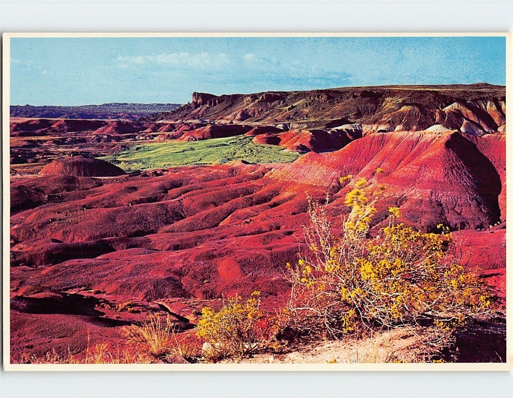 Postcard The Painted Desert Arizona