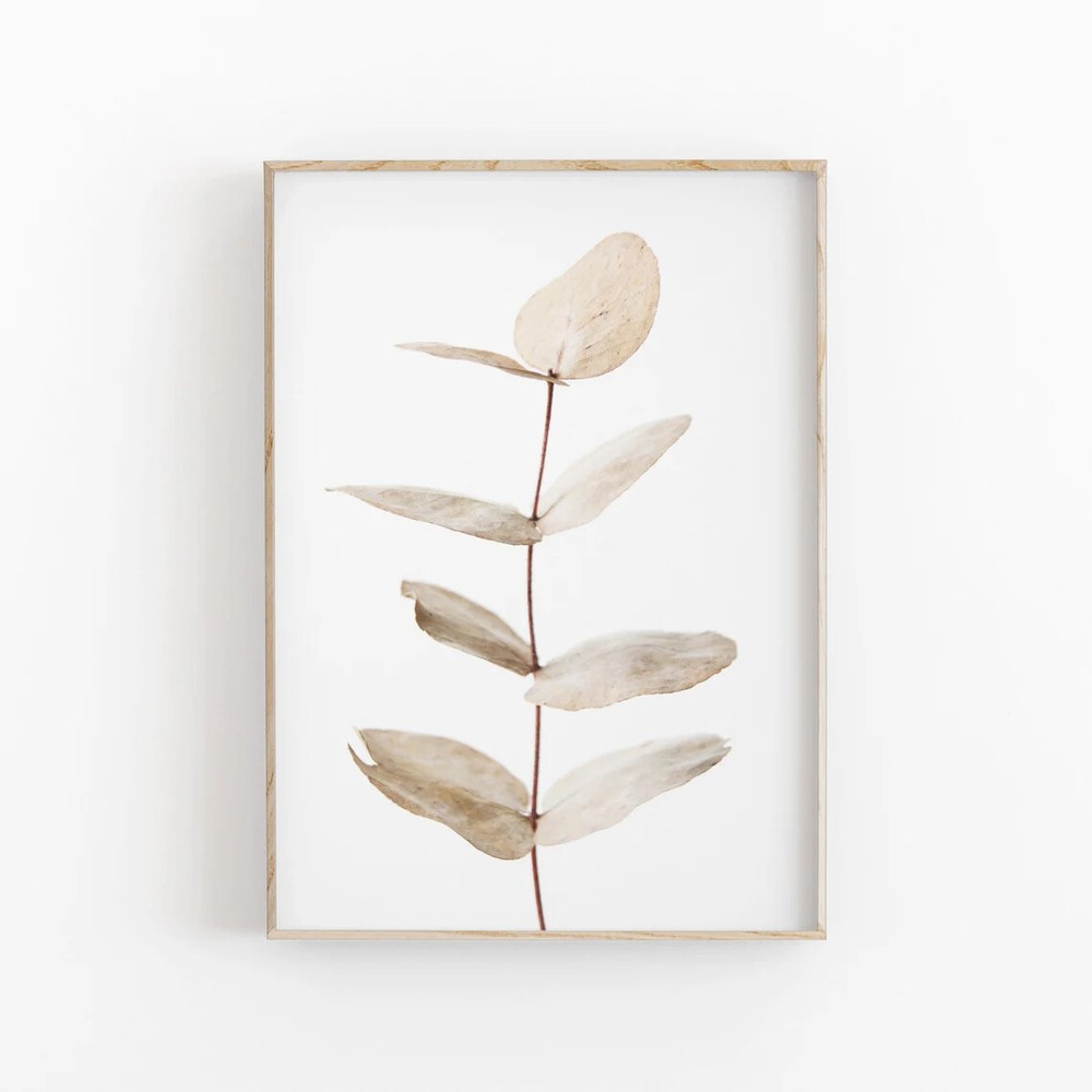 Botanical Eucalyptus Art Poster Premium Quality Choose your Size