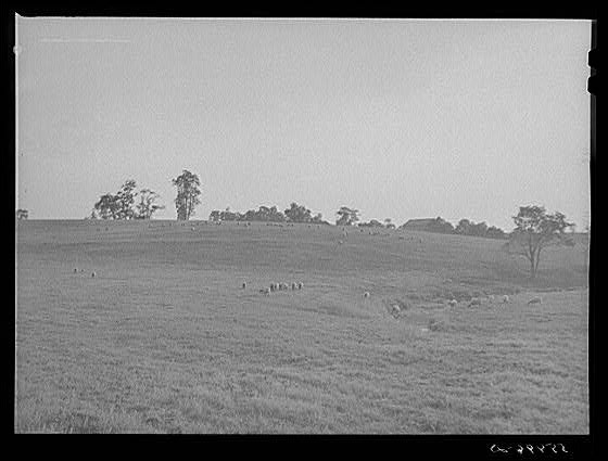 Louisville,Kentucky,KY,Farm Security Administration,Jefferson County,1940,FSA,1