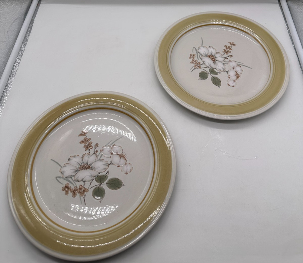 Impressions Daniele Country Day Stoneware Japan Dinner Plate  10-7/8