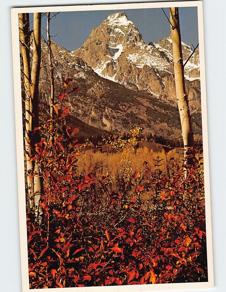 Postcard Snow-capped Grand Teton Peak Grand Teton National Park Wyoming USA