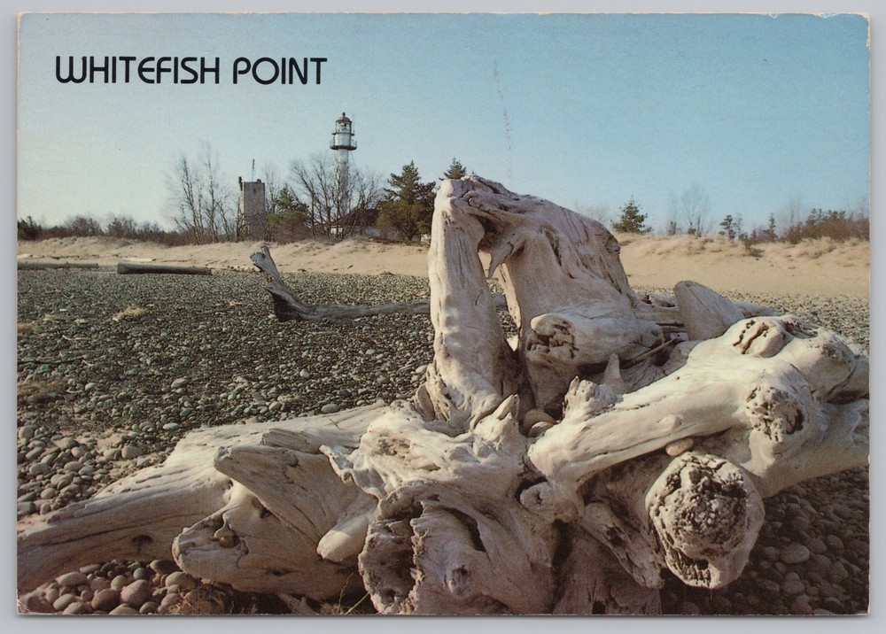 Lighthouse~Whitefish Point & Driftwood Paradise MI~Continental Postcard