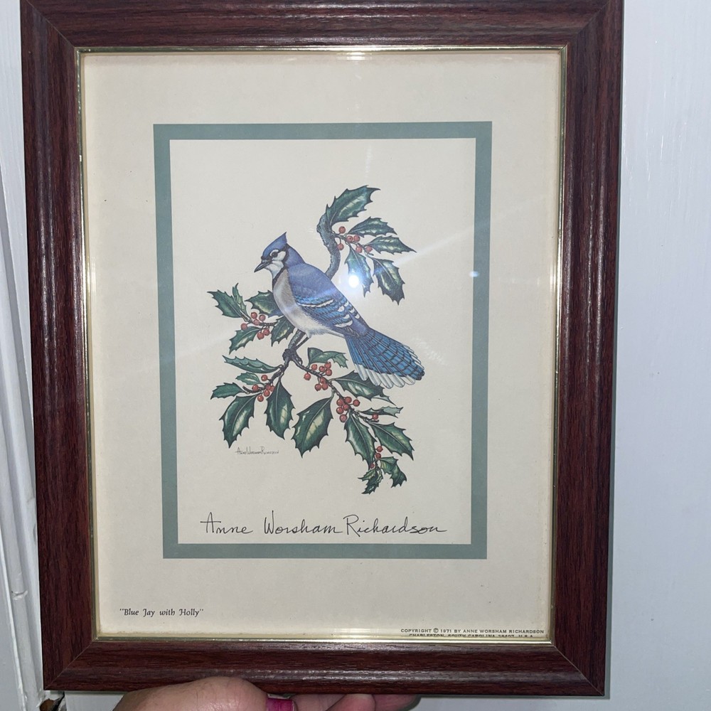 “Blue Jay with Holly”  Anne W. Richardson  print framed 91/2 X 11  vintage bird