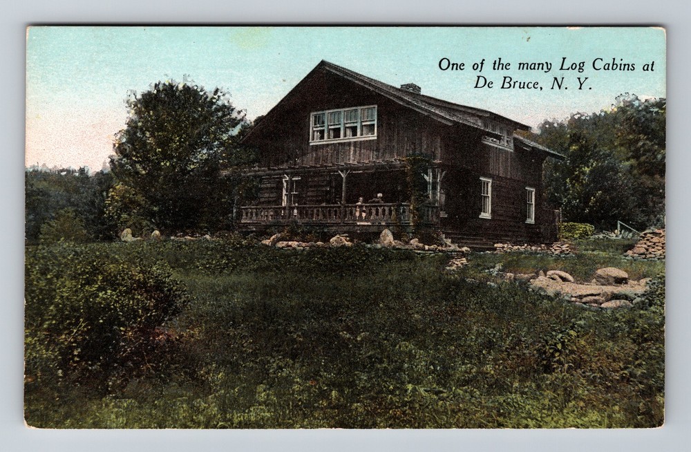 De Bruce, NY-New York, Log Cabin Woodland Lodge Scene Vintage Postcard