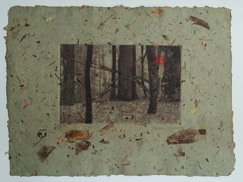 They Fell That Way etching on handmade paper with natural inclusions