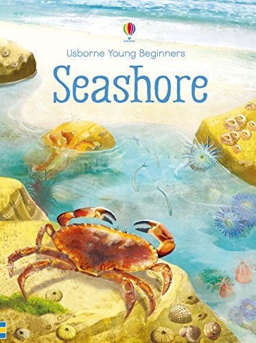 Seashore, Emily Bone
