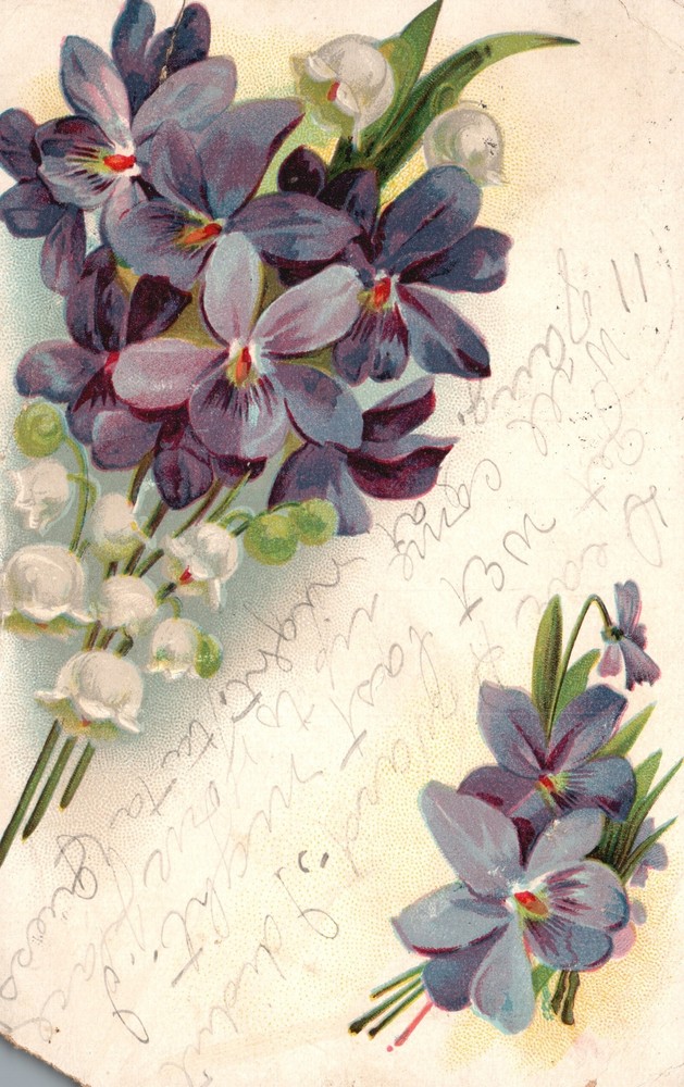 Vintage Postcard 1906 Bouquet of Flowers Greetings and Wishes Souvenir Card