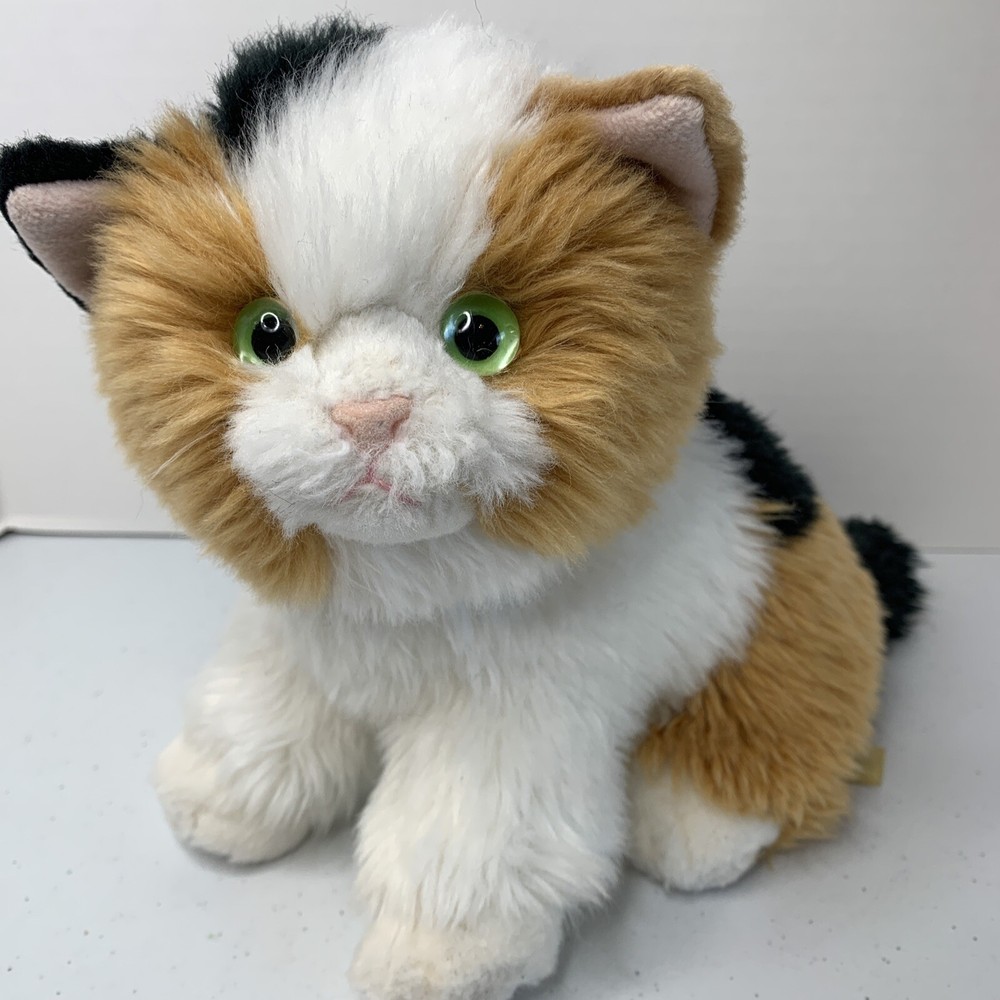 Miyoni By Aurora Calico Cat 11