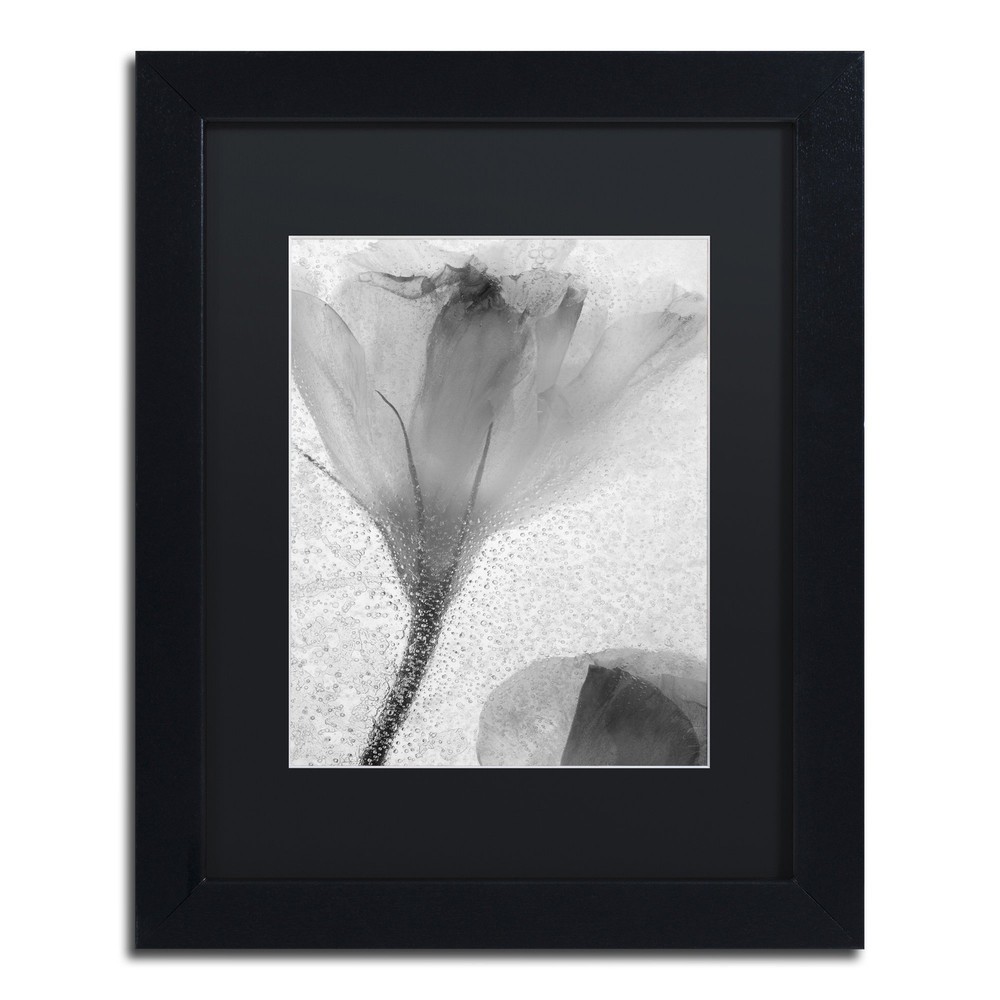 Flowers on Ice-13 by Moises Levy Frame, 11 by 14