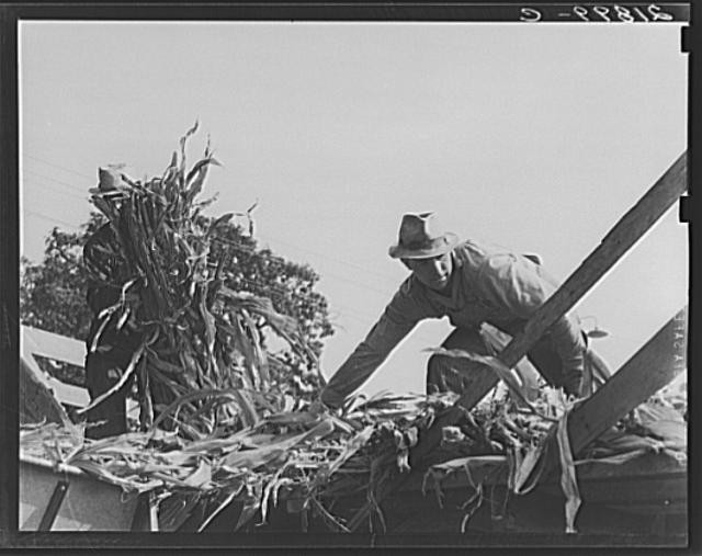 Miller Farm,West Carlton,Yamhill County,Oregon,OR,Dorothea Lange,1939,FSA,6