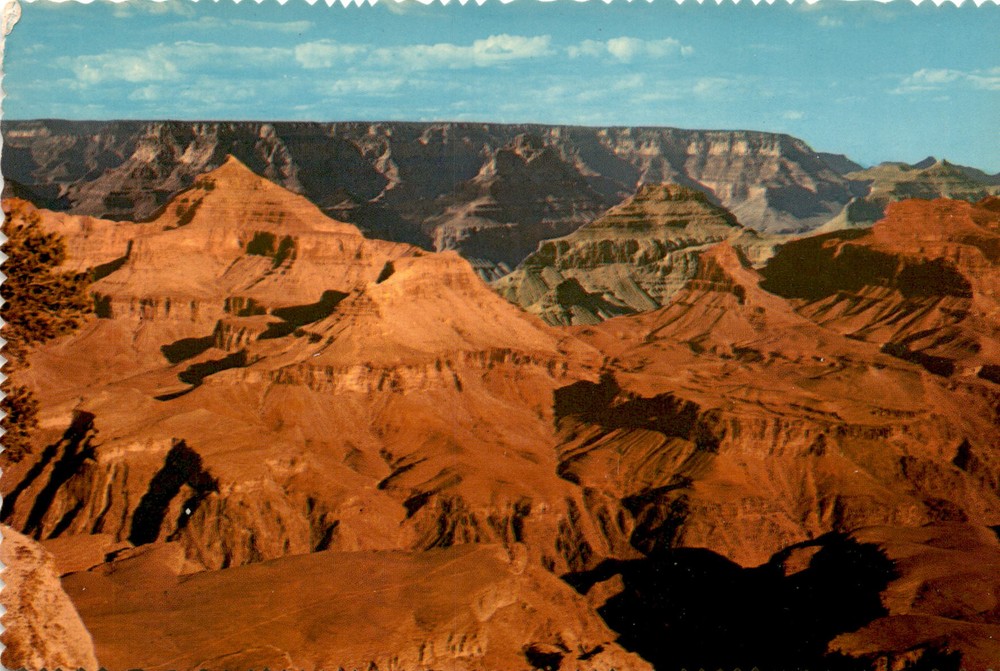 GRAND CANYON NATIONAL PARK, ARIZONA, Yavapai Point, Fred Harvey Postcard