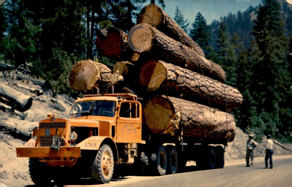 Logging Truck in California, 1953 Postcard