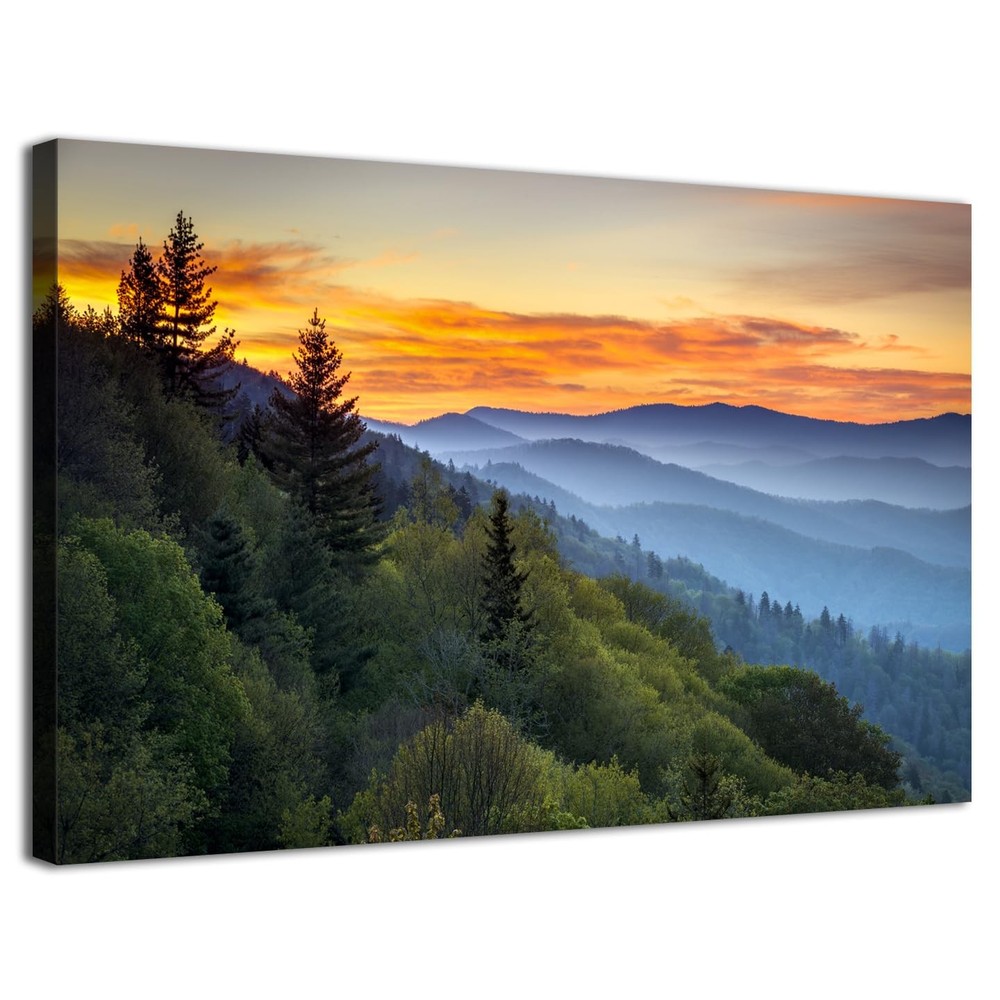 Blue Ridge Mountain Forest Canvas Wall Art for Living Room Nature Decor