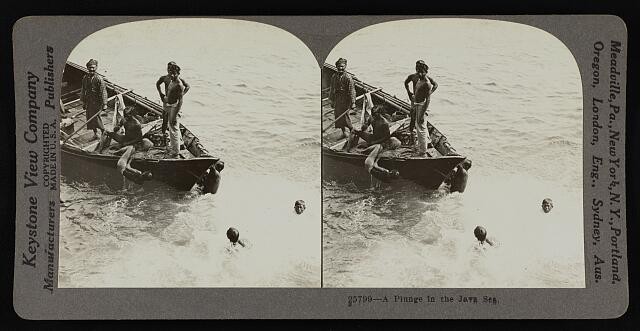 Photo:A plunge in the Java Sea