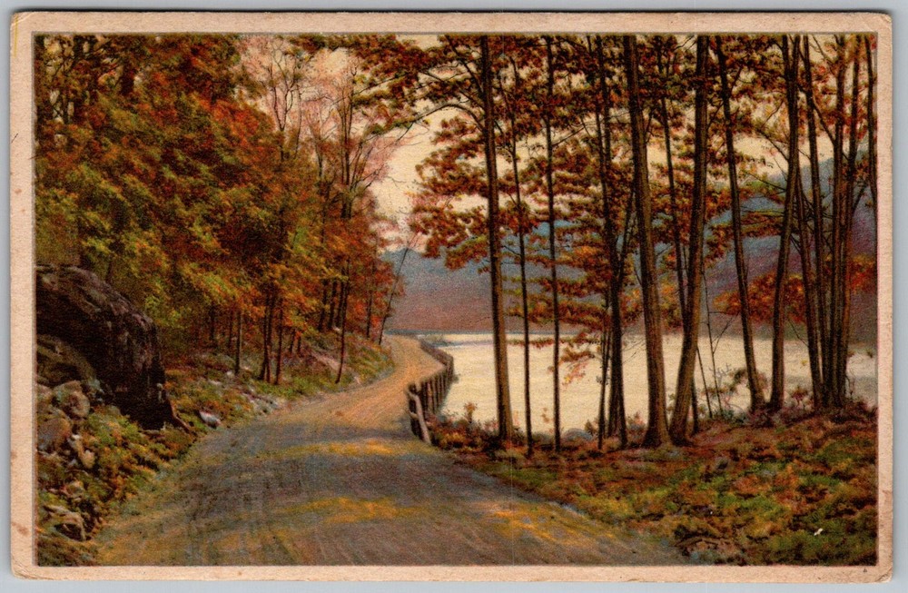 Antique Postcard Lakeside Road Scene Martinsburg, PA 1910s
