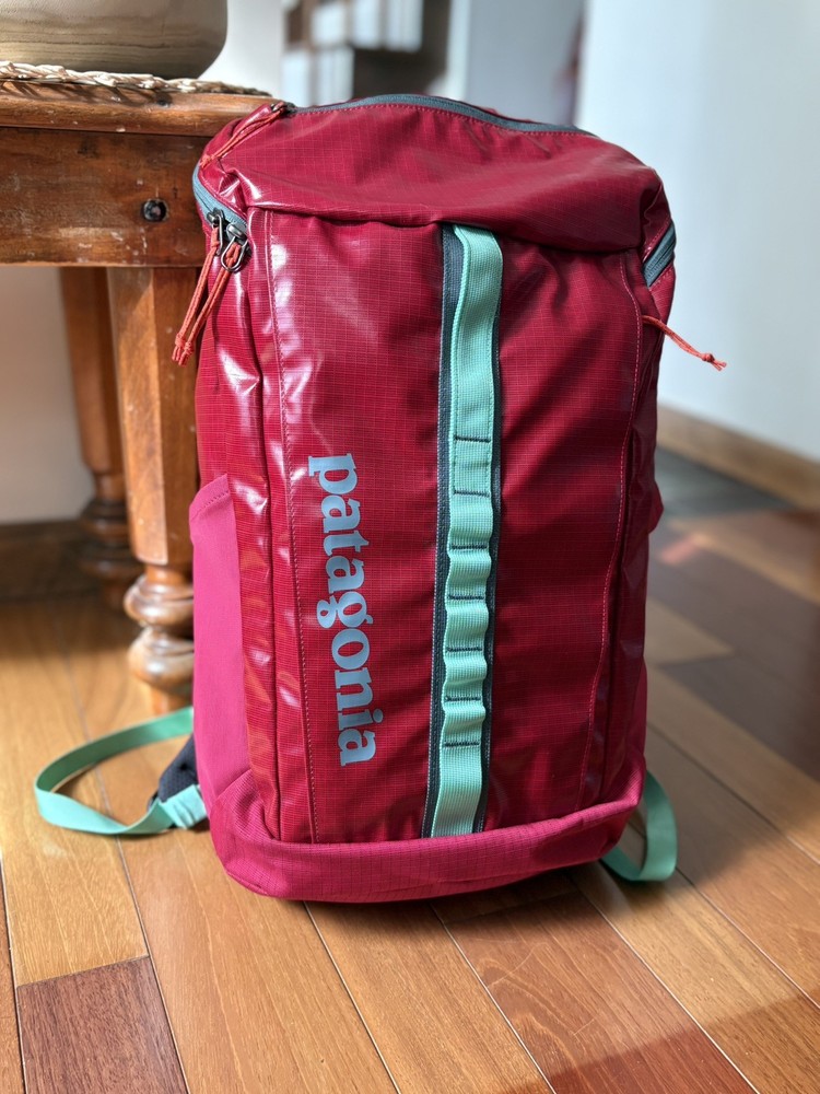 Patagonia Black Hole 25L Discontinued Backpack Craft Pink Rare Color