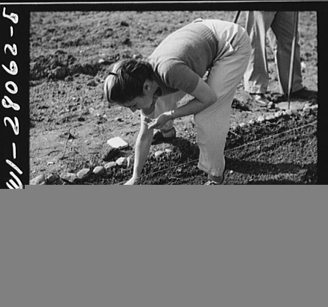 Washington DC 1940s Victory Gardening Northwest Section Woman Planting