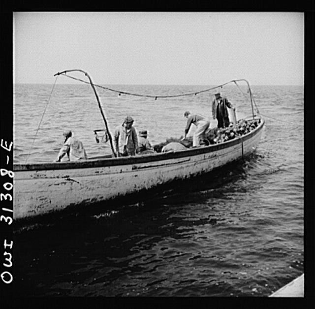 Photo:Gloucester Massachusetts Fishing Boat Alden 1900s Men at Sea