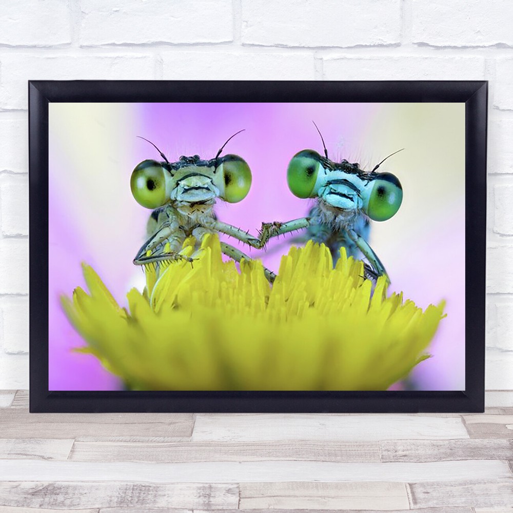 Y Wildlife Eyes Holding Hand Romantic Wall Art Print