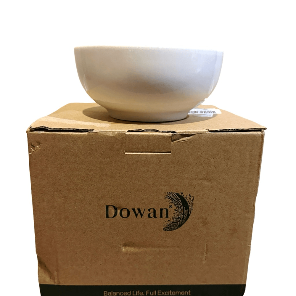 Dowan 22 oz White Ceramic Bowls Set of 4 for Cereal Soup Kitchen