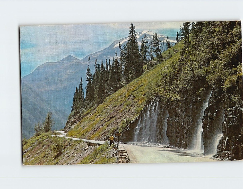 Postcard Weeping Wall Glacier National Park Montana USA