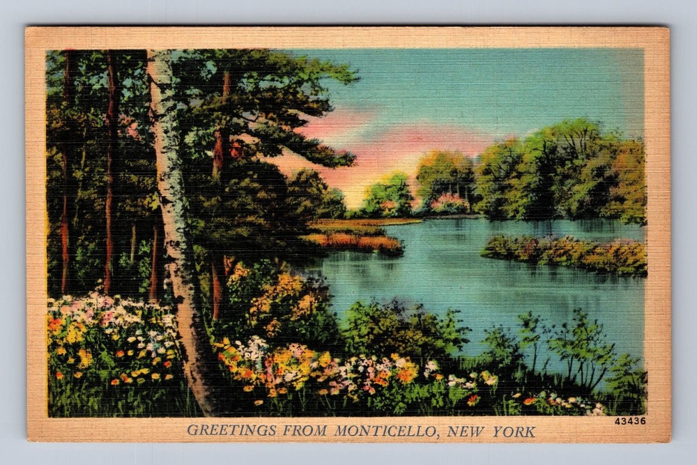 Monticello NY-New York Scenic Greetings Lake Vintage Postcard