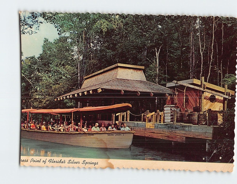 Postcard Cypress Point of Floridas Silver Springs Florida USA