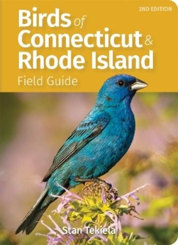 Stan Tekiela Birds of Connecticut Field Guide (Paperback)Another great item from Rarewaves USA | Free delivery!