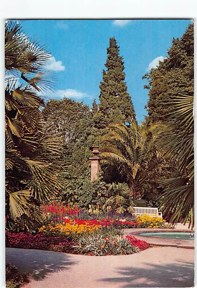 Postcard Palm Garden Kurpark of Bad Pyrmont in Lower Saxony Germany