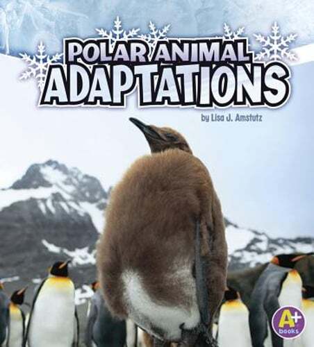 Polar Animal Adaptations by Lisa J Amstutz: Used